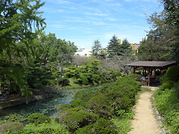 ��������C���[�W