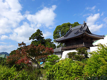 ���䎛�C���[�W